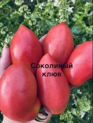 IMG_1396.jpeg