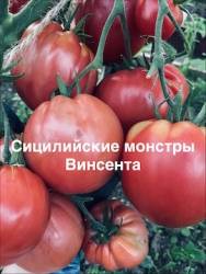 IMG_1398.jpeg