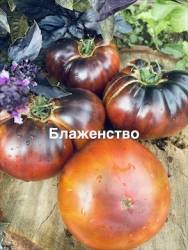 IMG_1399.jpeg