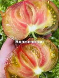 IMG_1400.jpeg