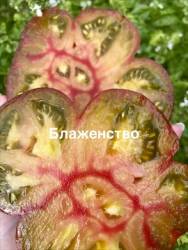 IMG_1401.jpeg