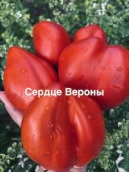 IMG_1402.jpeg