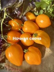 IMG_1405.jpeg