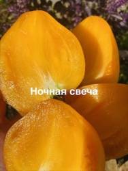 IMG_1406.jpeg