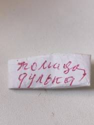 Найденыши-семена