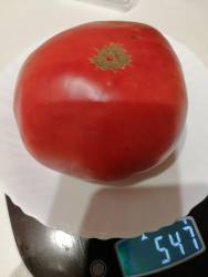 IMG_20260911_200544.jpg