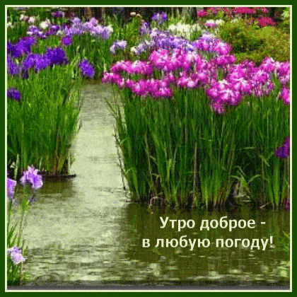 textopics_ru_38561.gif