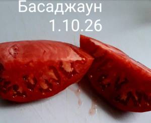 20261001_094525.jpg