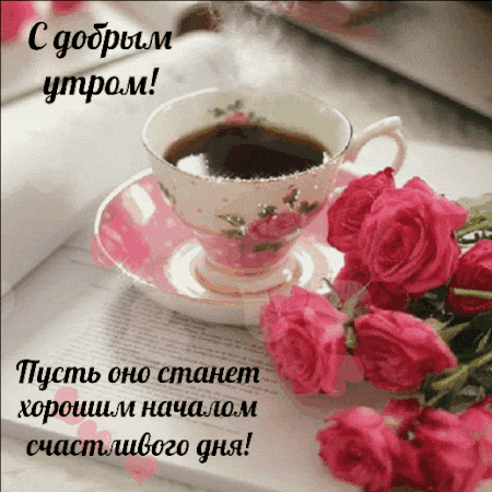 26.gif