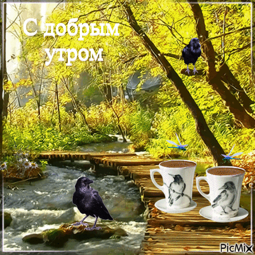97be4e127345bde2d6fa5e5cde98adeb.gif