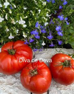 IMG_1896.jpeg