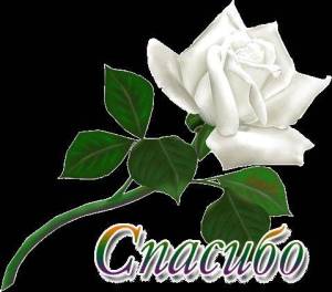 IMG_20260106_122437_985.jpg
