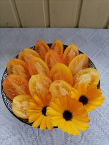 IMG_20260923_123720.thumb.jpg.aec5bd5119c0af425acabf7a670a89e8.jpg