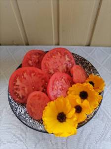 IMG_20261001_124710.thumb.jpg.3f8def7cad2daa13ea4cb5e4a3cfac3a.jpg