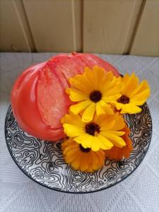 IMG_20261005_162638.thumb.jpg.e0a6df6678d03bb3d7a5ad94e8ada379.jpg