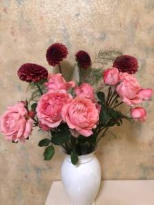 IMG_9236.jpeg