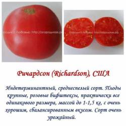 Ричардсон.jpg