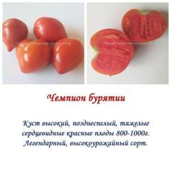 Чемпион бурятии.jpg