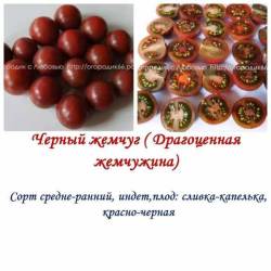 Черный жемчуг.jpg