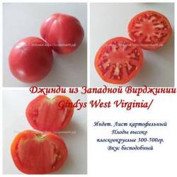 Джинди из Западной Вирджинии.jpg