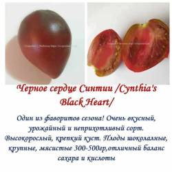 Черное сердце Синтии.jpg