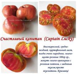Счастливый капитан.jpg