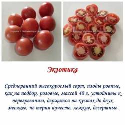 Экзотика.jpg