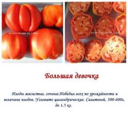 Большая девочка.jpg