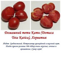 Домашний тети Кати.jpg
