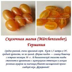 Сказочная магия.jpg
