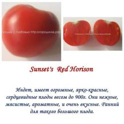 Sunset's Red Horison.jpg