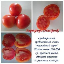 Хартфорд.jpg
