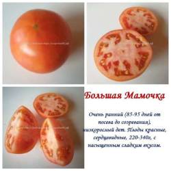 Большая Мамочка.jpg