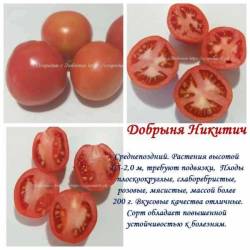 Добрыня Никитич.jpg
