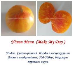 Удиви Меня.jpg