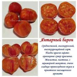Янтарный барон.jpg