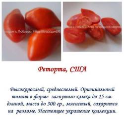 Реторта.jpg