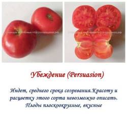 Убеждение.jpg