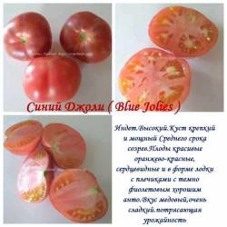 Синий Джоли.jpg