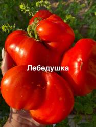 IMG_1691.jpeg