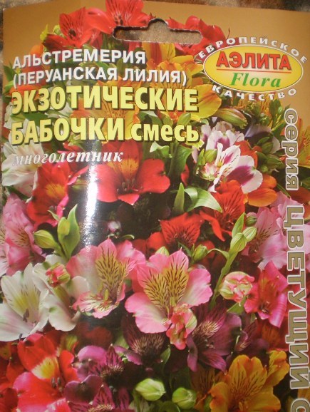 Альстромерия Купить Семена Для Посадки