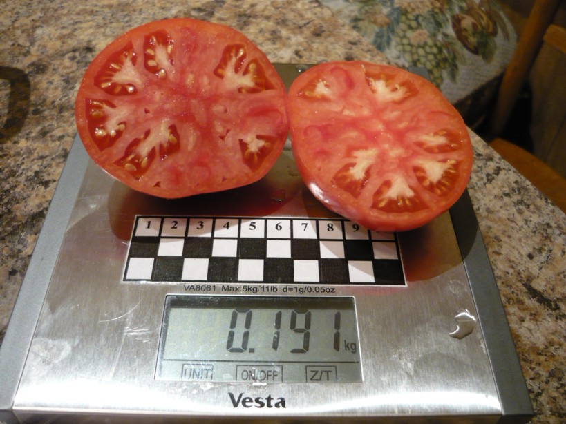 Алсу - А — сорта томатов - tomat-pomidor.com - отзывы на форуме