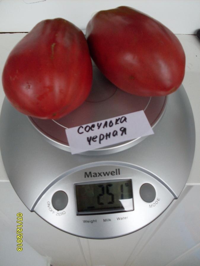 Сосулька чёрная - С — сорта томатов - tomat-pomidor.com - отзывы на форуме