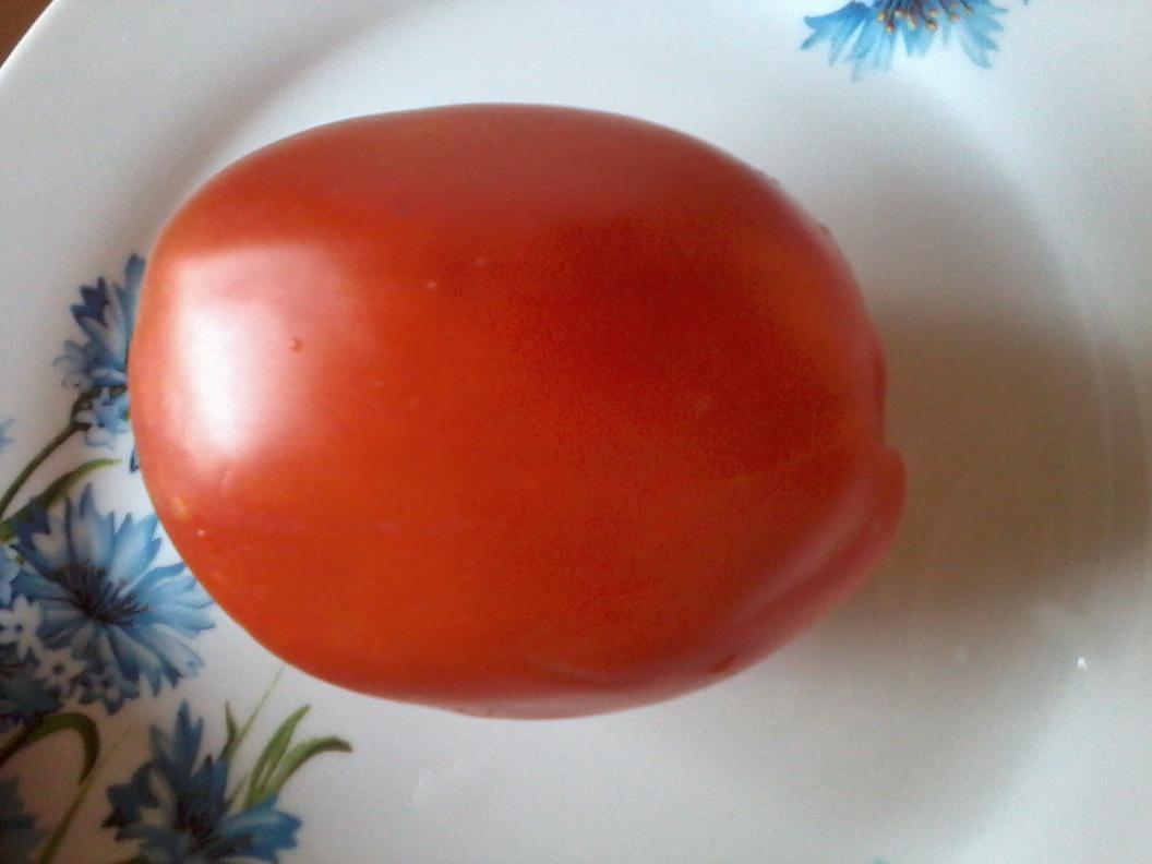 Большая девочка - Б — сорта томатов - tomat-pomidor.com - отзывы на форуме