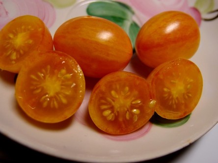 Blush - b — сорта томатов - tomat-pomidor.com - отзывы на форуме