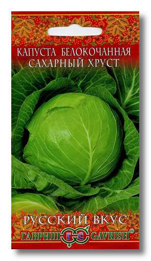 Сахарный хруст - Сорта КАПУСТЫ кочанной с отзывами - tomat-pomidor.com -форум