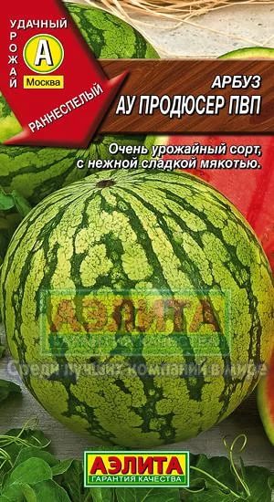 АУ Продюсер ПВП - Сорта АРБУЗОВ с отзывами - tomat-pomidor.com - форум