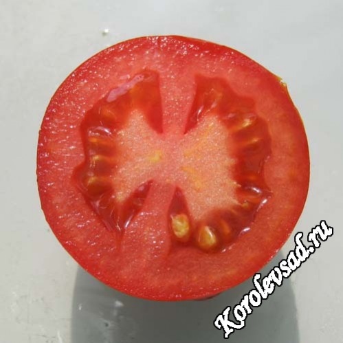 Акварель - А — сорта томатов - tomat-pomidor.com - отзывы на форуме