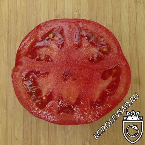 Видимо-невидимо - В — сорта томатов - tomat-pomidor.com - отзывы на форуме