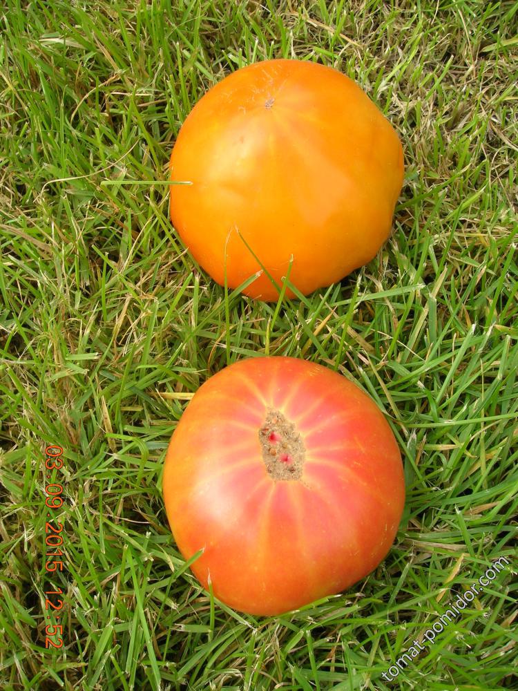 3 сентября - Оранжевая ягода и Клубника оранжевая немецкая